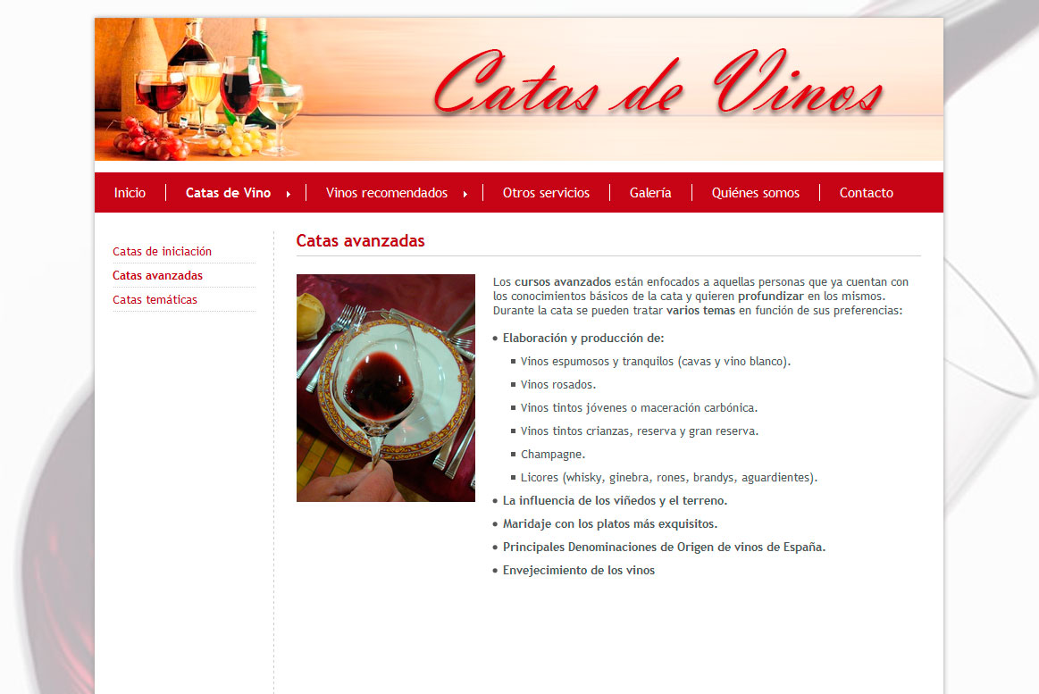 <strong>Sección Catas de vinos.</strong><br>Página de detalle a dos columnas. Catas de Vinos - Catas de vinos